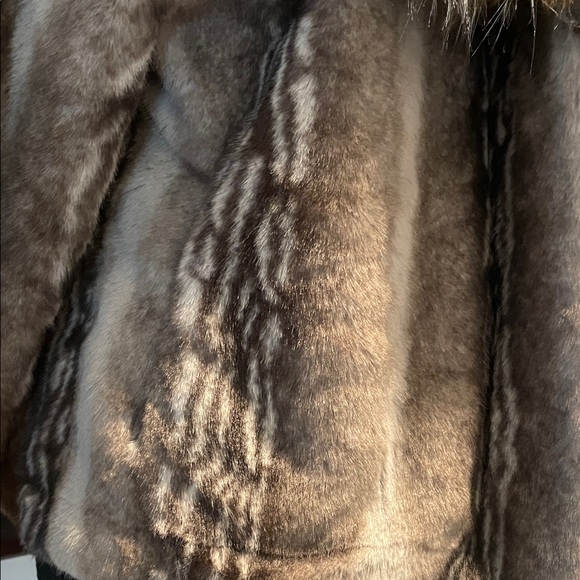 Chic Faux Fur Collar Teddy Jacket - Picture 3 of 4